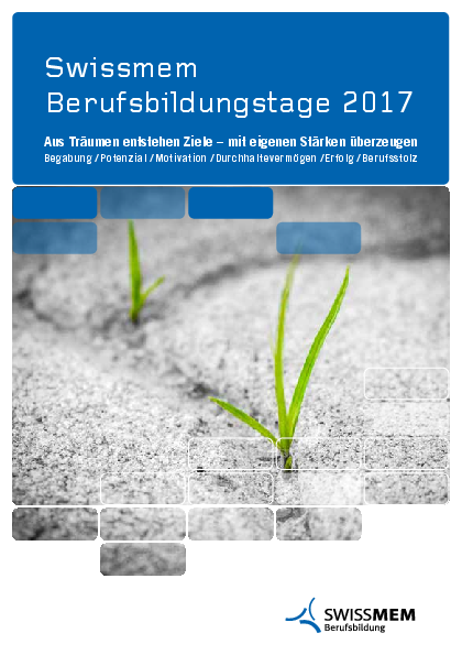 Berufsbildungstage_2017.pdf